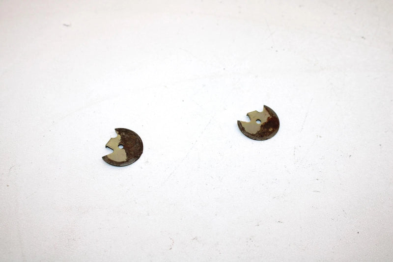 Polaris Oem Carburetor Throttle Plate (Pair) 3130054 Q828