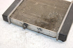 03 Bombardier Rally 175 Oem Radiator A19100179000 AB7