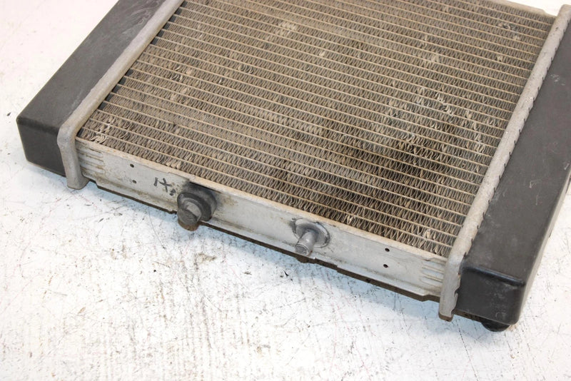 03 Bombardier Rally 175 Oem Radiator A19100179000 AB7