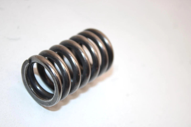 04 Honda Trx250ex A Oem Outer Valve Spring 14751-HN6-000 AHS