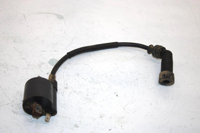 02 Arctic Cat 250 2x4 Oem Ignition Coil 3530-025 AA22