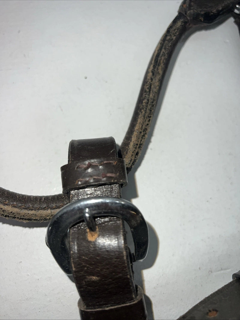 New Brown Leather Full Horse Show Halter Silver Buckles 3C-16