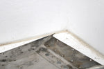 2005 Yamaha Rs Vector Er Oem Seat Pan 99999-03529-00 SY59