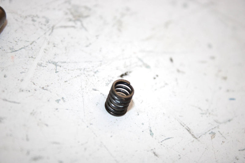 87 Polaris Trail Boss 4x4 Oem Plunger/Spring 3250014 3250015 AP9
