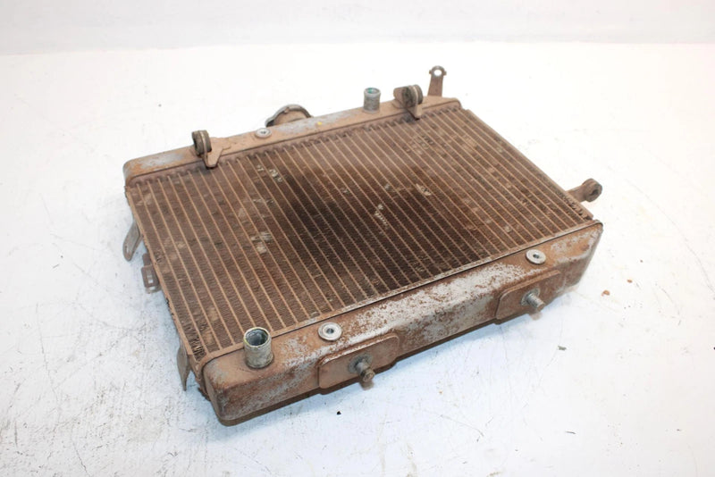 2004 Honda Fourtrax Rincon Oem Radiator 19010-HN8-A61 AH2