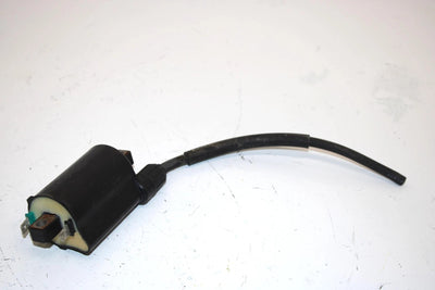 08 Arctic Cat Atv 250 Utility 2x4  Oem Ignition Coil 3303-830 AA13