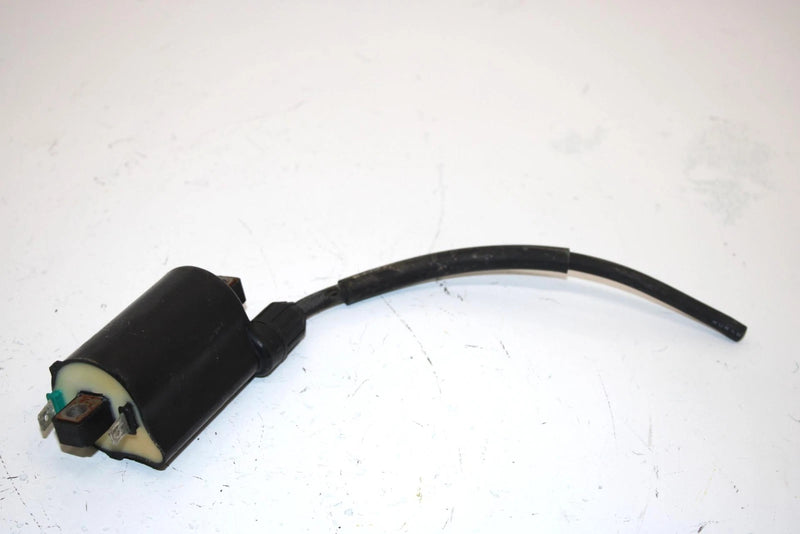 08 Arctic Cat Atv 250 Utility 2x4  Oem Ignition Coil 3303-830 AA13