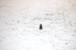 2001 Ski-doo Mxz 800 Oem Choke Set Screw 404161910 SS19
