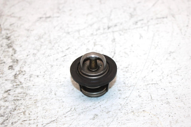 2002 Polaris Sportsman 700 Oem Thermostat 7052308 AP184
