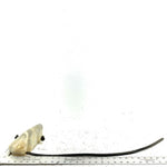 08-13 Kawasaki Teryx 750 KRF750A 4x4 OEM Coolant Tank 43078-0041 XK0.1