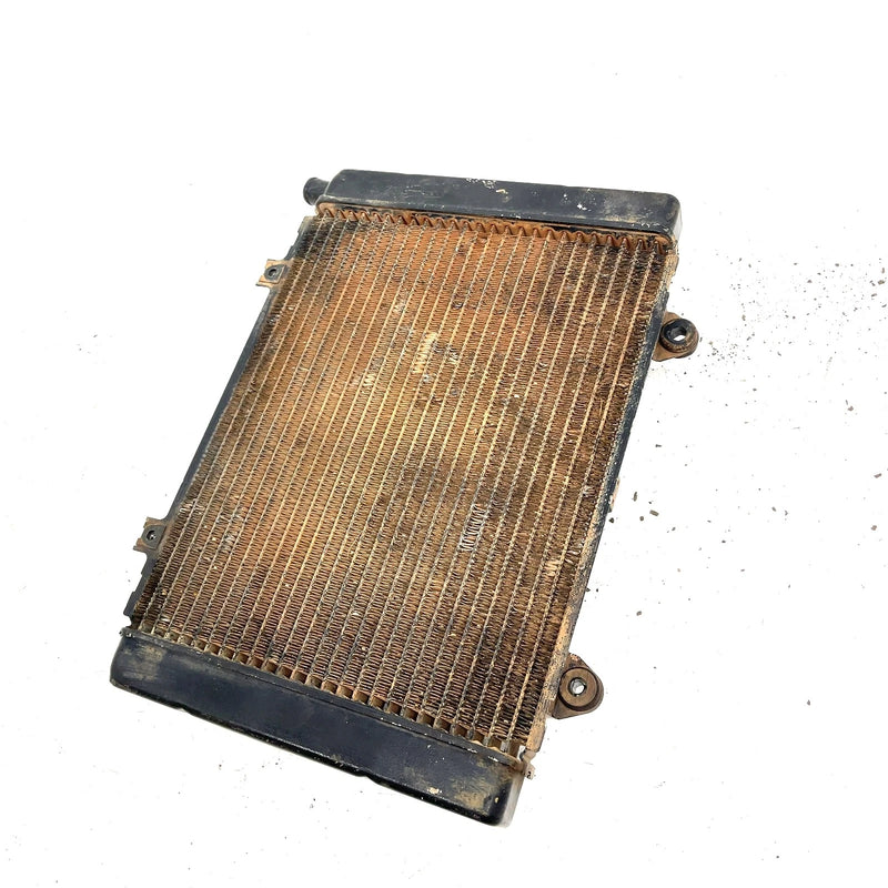 2003 Kawasaki Prairie 650 OEM Radiator 39060-0008 AK37