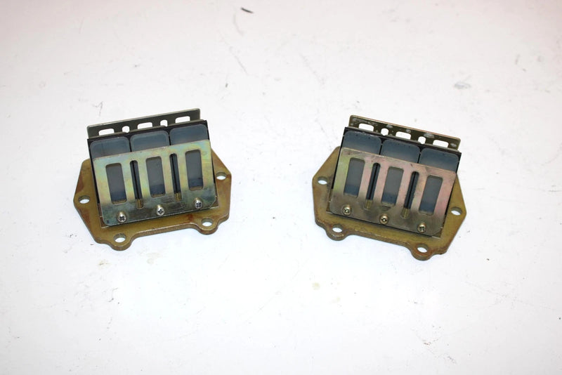 98 Arctic Cat Zr 500 Oem Reed Valve Pair 3005-124 Q2002