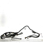 1999 Polaris Scrambler 500 OEM Main Wire Harness 2460657 AP211