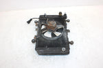 1999 Kawasaki Prarie 400 Oem Radiator Assembly 39060-1150 AK28
