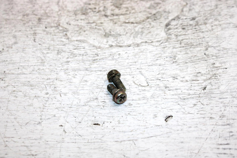 1995 Arctic Cat Z 440 Oem Carb Slide Screw Pair 6505-559 SA13