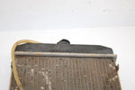 10 Arctic Cat Atv 700 H1 Efi 4x4 Automatic  Oem Radiator 0413-205 AA10