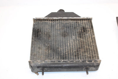 95 Polaris Xplorer 400 Oem Radiator And Screen 1240015 5431760 AP46