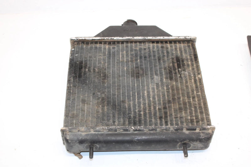 95 Polaris Xplorer 400 Oem Radiator And Screen 1240015 5431760 AP46