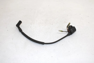 Polaris Oem Ignition Coil 3084469 Q979