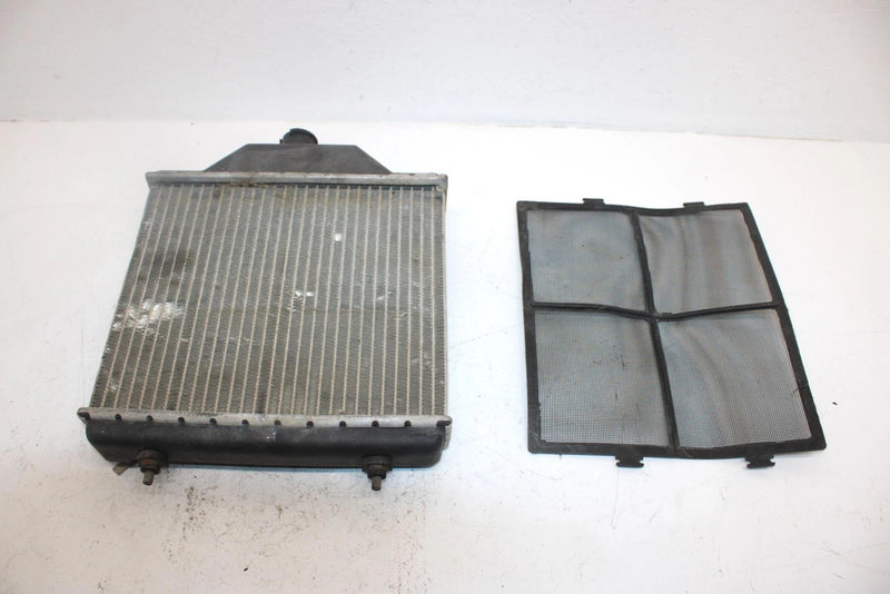 2000 Polaris Xplorer 400 Oem Radiator W/Screen 5431760 1240015 AP99