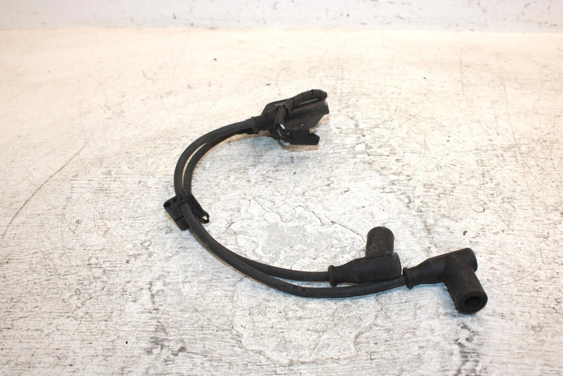 2001 Polaris 800 Le Oem Ignition Coil 4060229 4016199 SP22