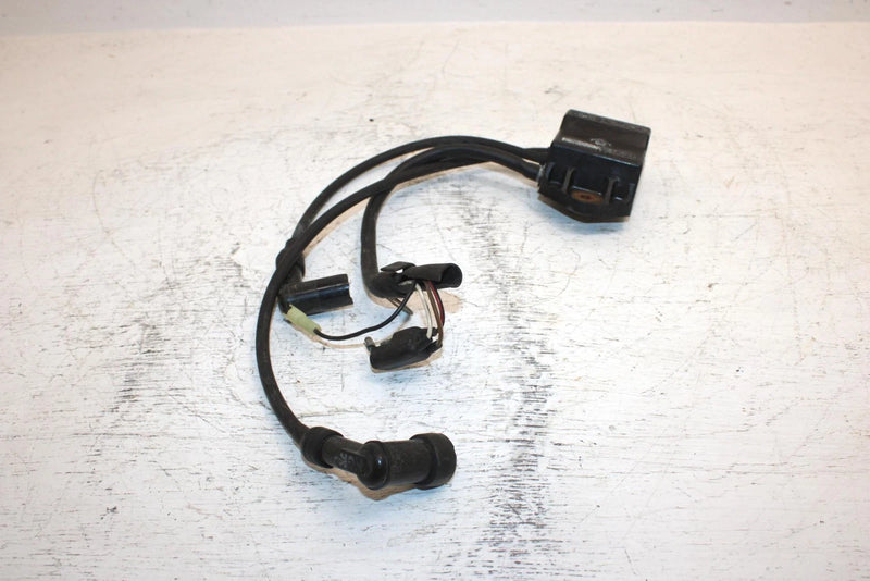 1996 Polaris 500 Oem Ignition Coil 3085053 SP12