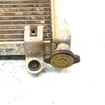 2001 Bombardier DS650 OEM Radiator 709200019 AB16