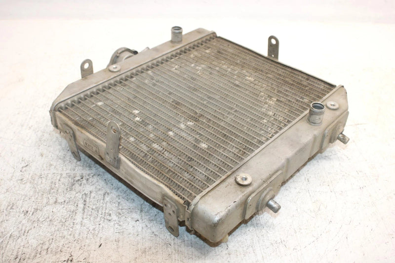 2002 Honda Foreman Rubicon Oem Radiator 19010-HN2-505 AH36