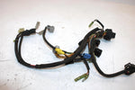 06 Arctic Cat Zr 900 Sno Pro Efi Oem CDI Wire Harness 3006-753 SAS3