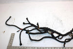 2000 Polaris Magnum 325 Oem Main Wire Harness 2460737 AP65