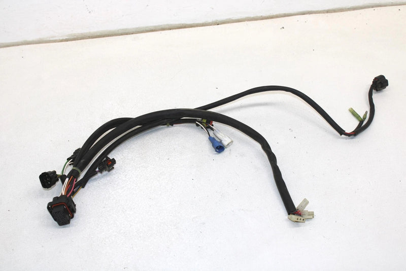 05 Polaris Rmk 900 Oem ECU Ignition Harness Wiring 4011106 SP173