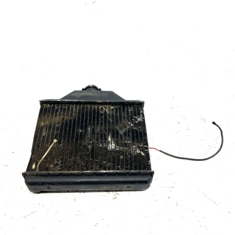 1993 Polaris Trail Boss 350L 4X4 OEM Radiator 1240006 AP194