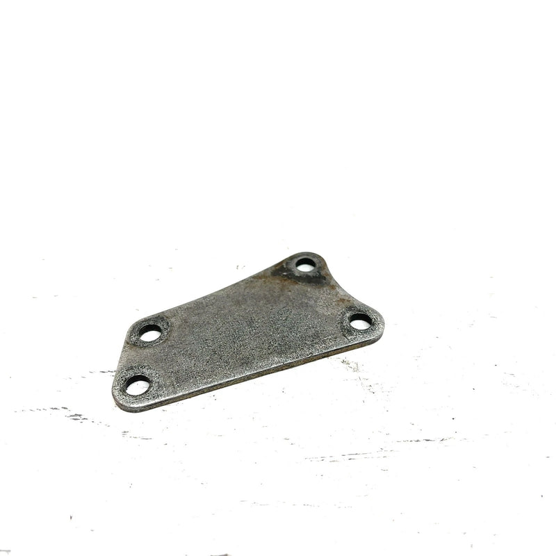 96-99 Honda FourTrax 300 TRX300FW 4x4 OEM Front Case Plate 21504-HC5-000 AH45