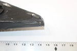 1997 Arctic Cat Z 440 Oem Right Backing Plate 0616-822 SA111