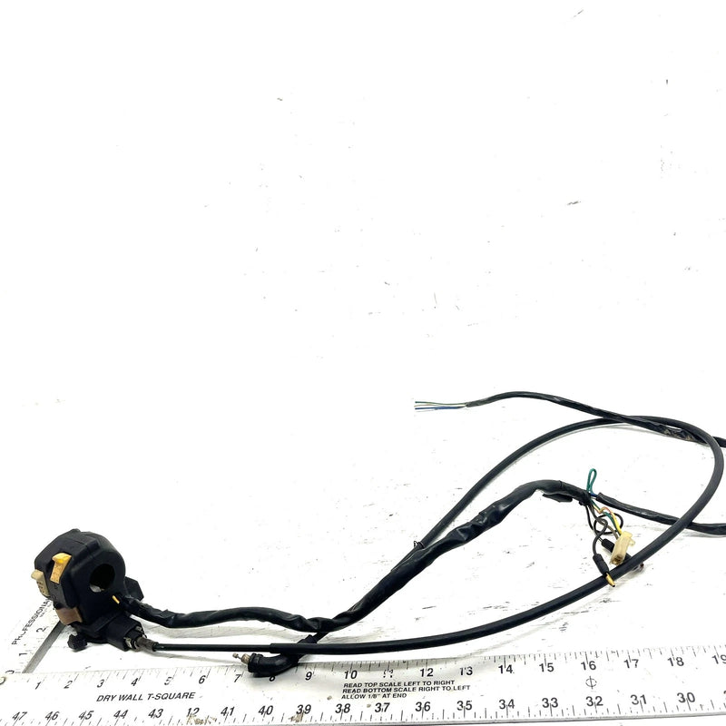 96-97 Honda FourTrax 300 TRX300FW 4x4 OEM Start/Light Switch 35200-HM5-850 AH45