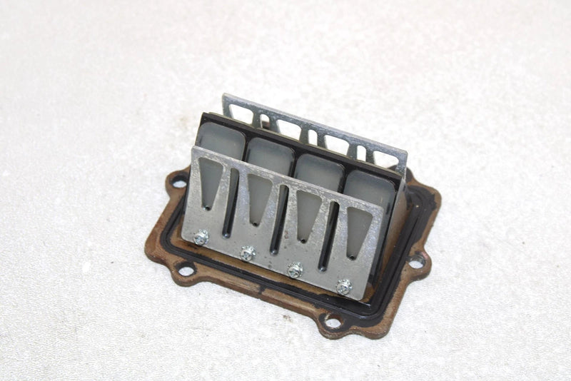 Polaris Oem Intake Reed Valve 1201843 Q1169