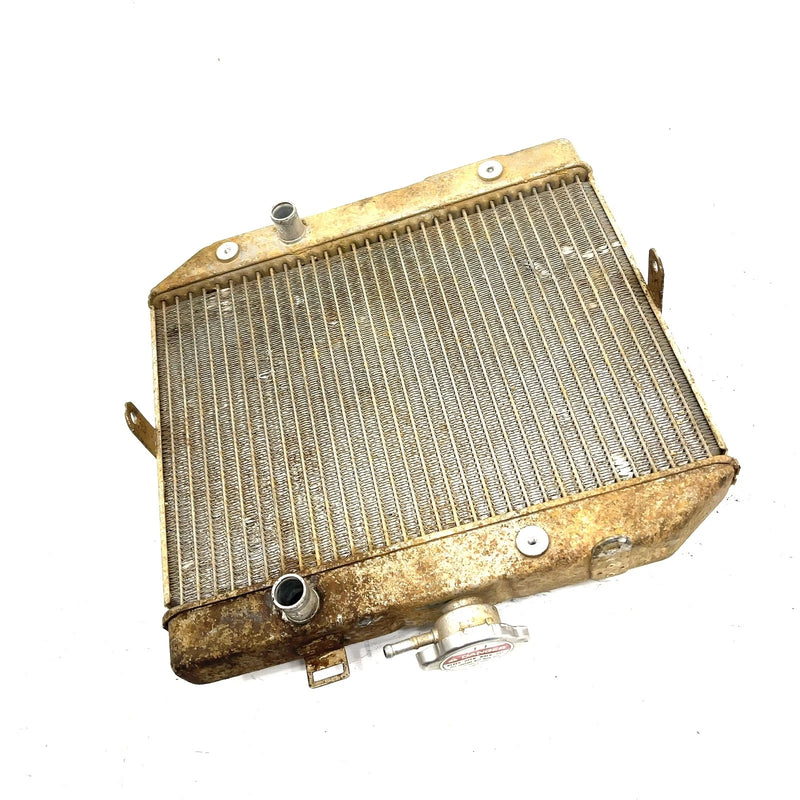 01-04 Honda Foreman Rubicon 500 TRX500 OEM Radiator 19010-HN2-505 AH95