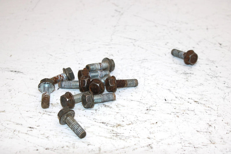 2002 Polaris Sportsman 700 Oem Bolt Set Of 11 3233955 AP184