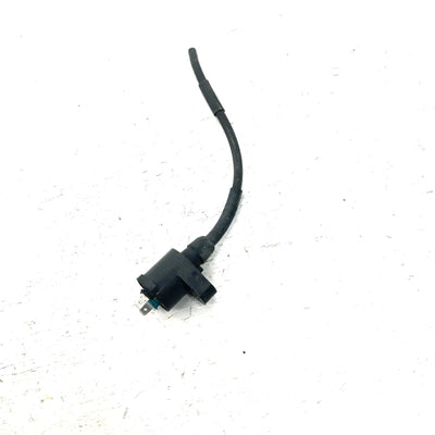 93-06 Honda Sportrax 300 TRX300EX 2x4 OEM Ignition Coil 30510-GR2-405 AH81