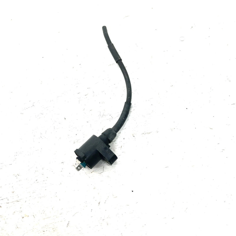 93-06 Honda Sportrax 300 TRX300EX 2x4 OEM Ignition Coil 30510-GR2-405 AH81