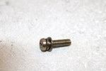 97 Polaris Sport Oem Oil Pump Screw And Washer 3083783 SP167