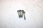 12 Arctic Cat M1100 Turbo Sno Pro Oem Throttle Body Bolt Set of 4 3007-238 SA8