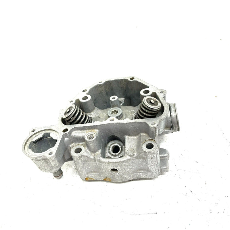 09-19 Honda Rancher 420 TRX420FE ES OEM Cylinder Head 12200-HP7-A01 AH76