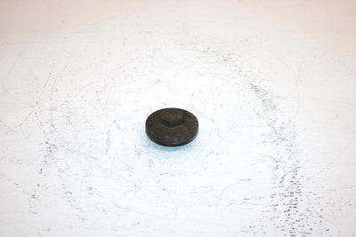 1999 Yamaha  Bear Tracker 2wd Oem Oil Drain Plug 5H0-15351-00-00 AY50