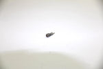 95 Polaris Magnum 425 4x4 OEM Carburetor Needle Screw 3130524 AP100