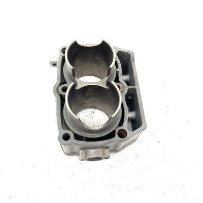 02-04 Polaris Sportsman 700 OEM 80mm Cylinder 2202158 AP219
