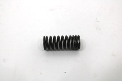 Yamaha Oem Intake Valve Spring 8FP-12113-00-00 Q1735
