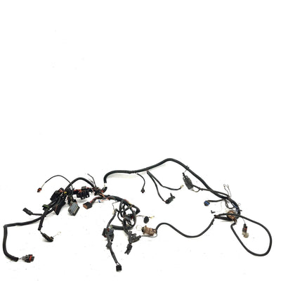 05-06 Polaris Sportsman 800 EFI OEM Main Wire Harness 2410528 AP188