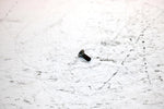 2001 Ski-doo Mxz 800 Oem PTO Side Set Screw 404161928 SS19