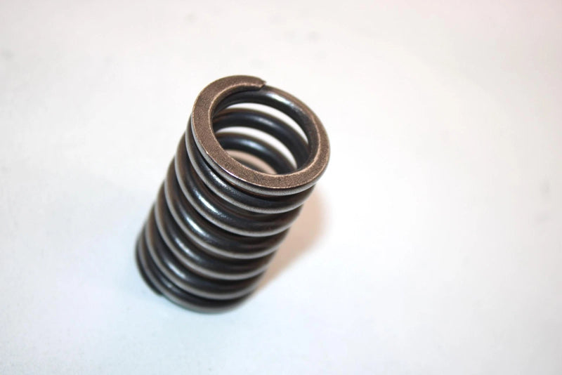 04 Honda Trx250ex A Oem Outer Valve Spring 14751-HN6-000 AHS